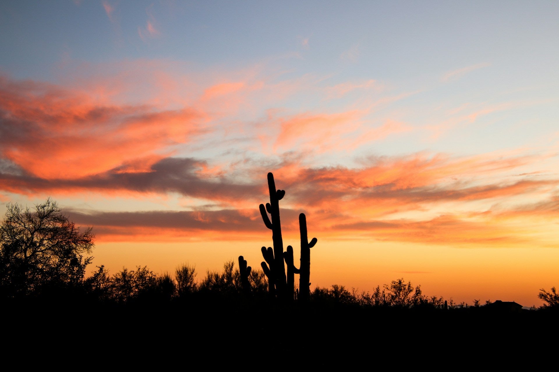 Understanding AC Replacement Costs in Phoenix: How to Avoid Overpaying